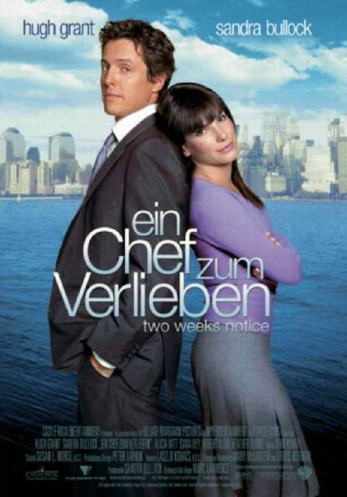 Ein Chef zum Verlieben