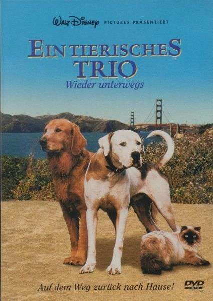Ein tierisches Trio - Wieder unterwegs