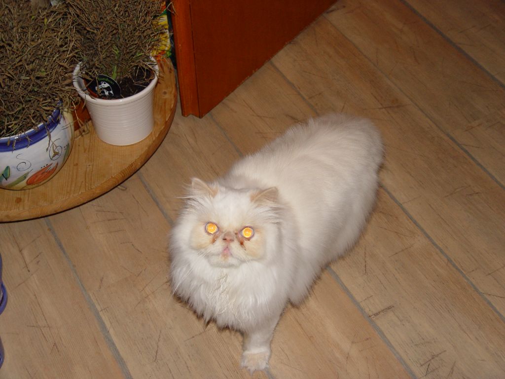 Ferrari macht gro�e Augen