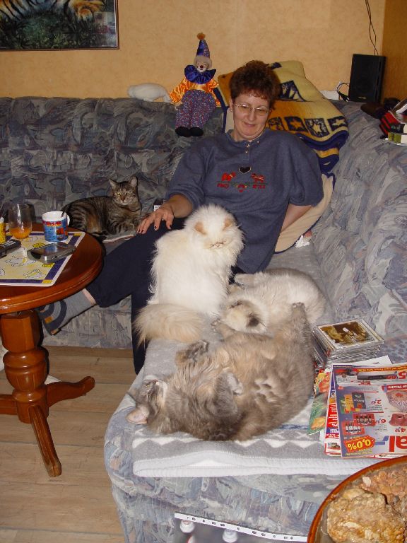 Ferrari, Little Miss, Jessy und Balu