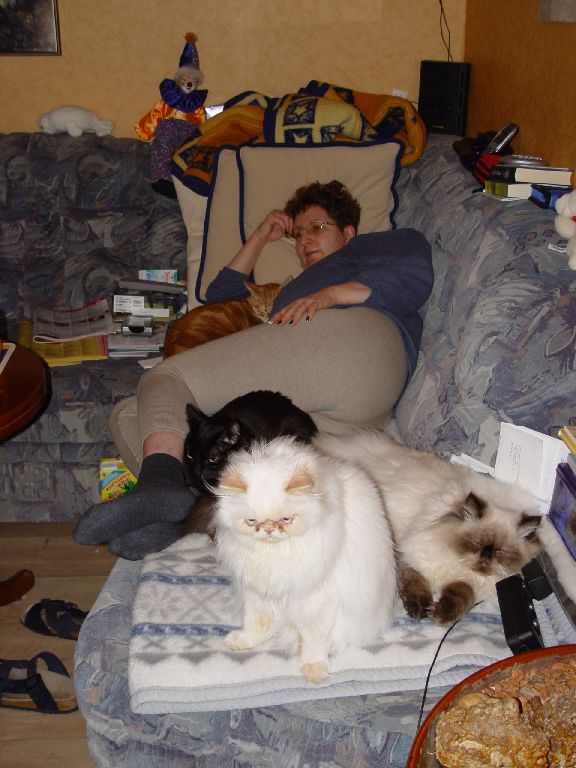 Ferrari, Baghira, Merlin und Guiness