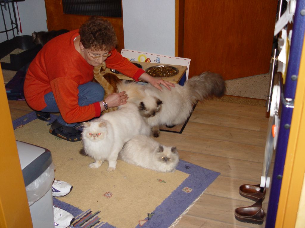 Ferrai �ber Little Miss