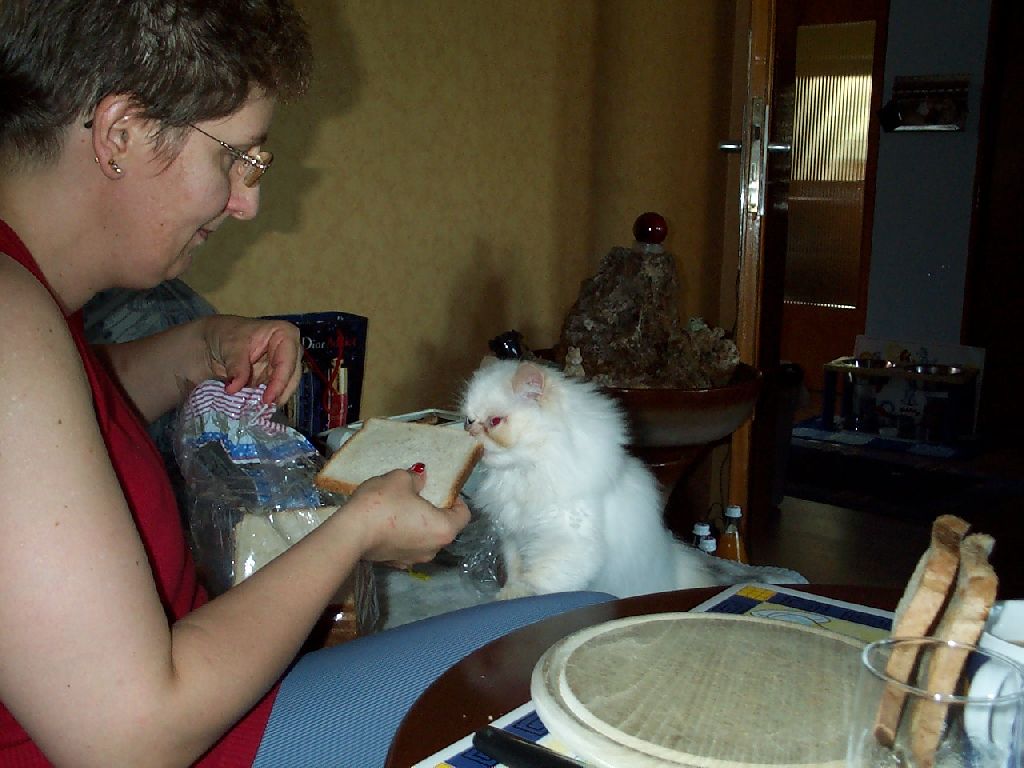 Ferrai und Weisbrot_1