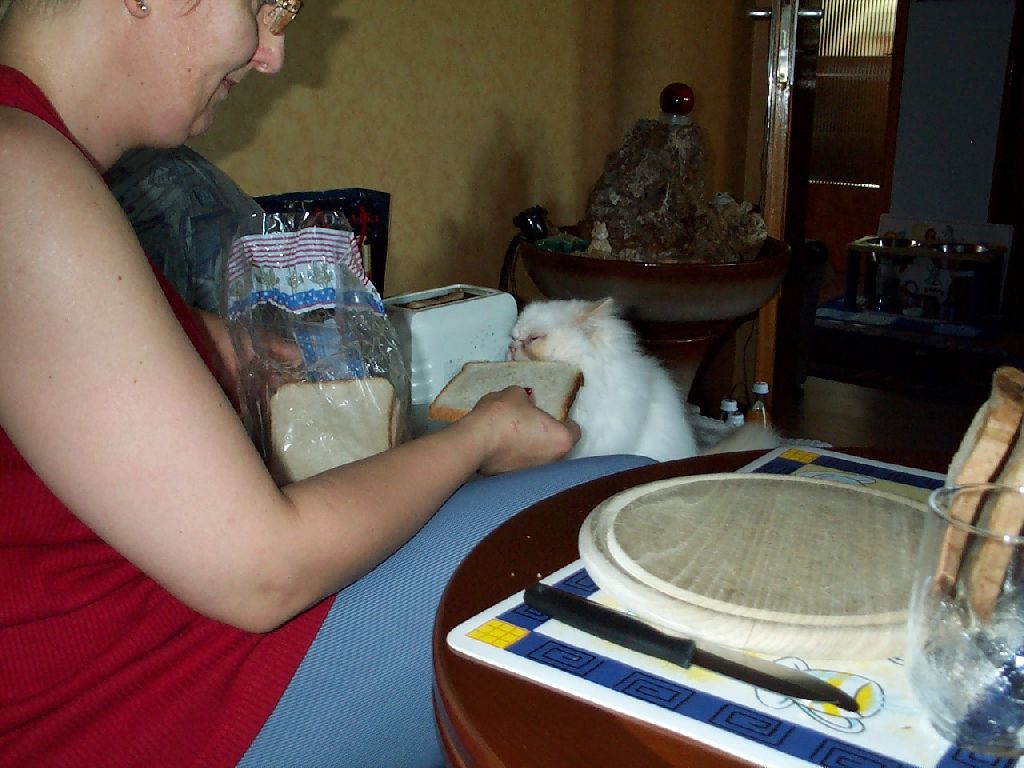 Ferrai und Weisbrot_2