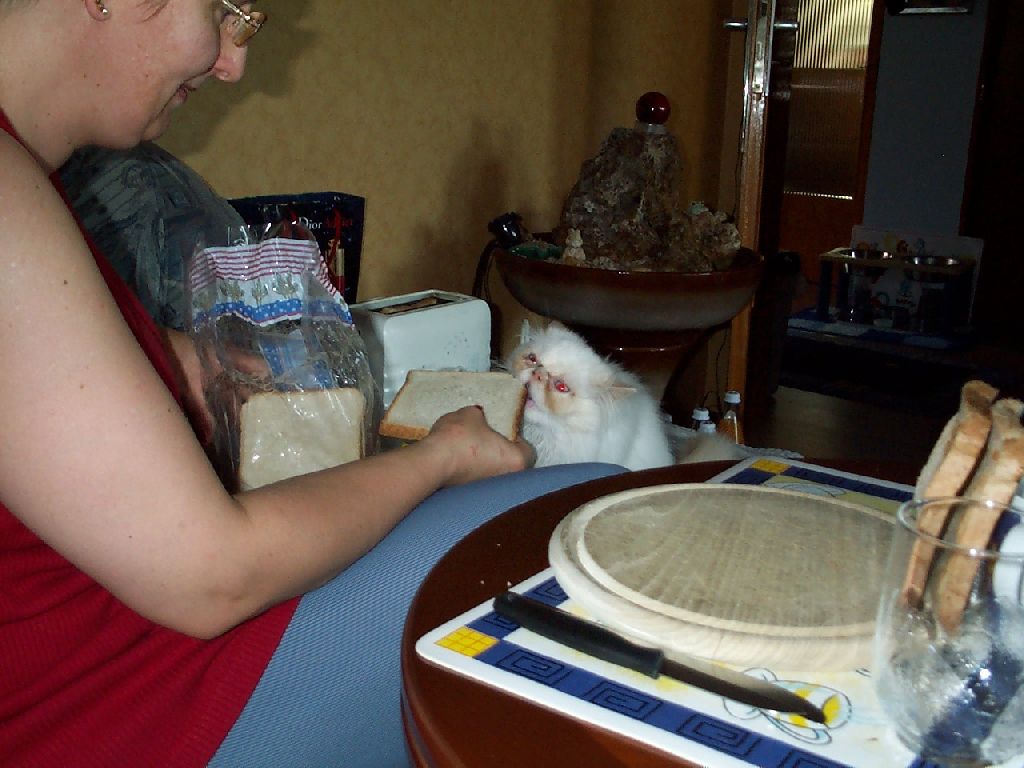 Ferrai und Weisbrot_3