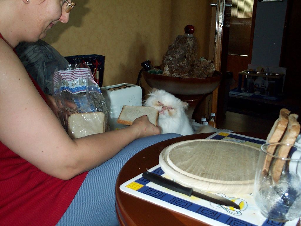 Ferrai und Weisbrot_4