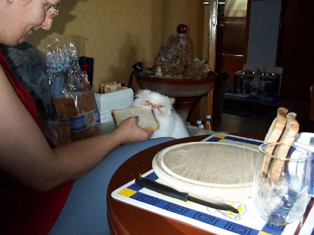 Ferrai und Weisbrot_5