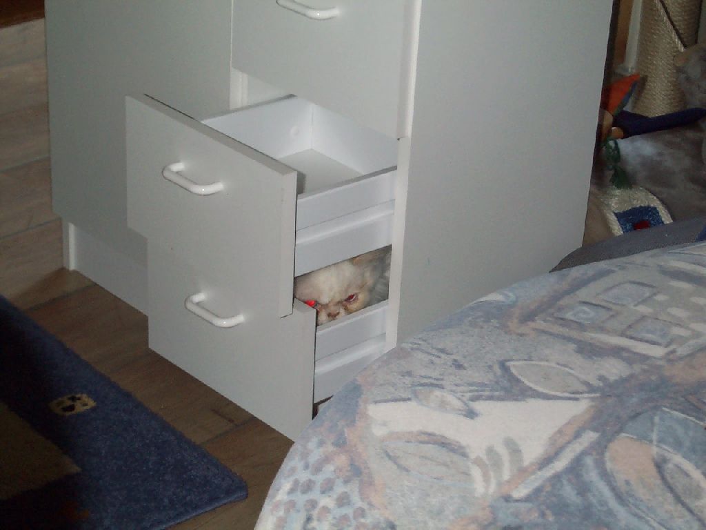 Ferrari in der Schublade