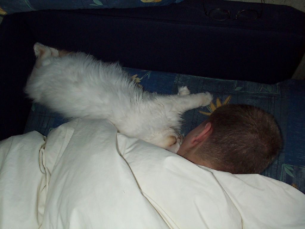 Ferrari schl�ft bei Steven