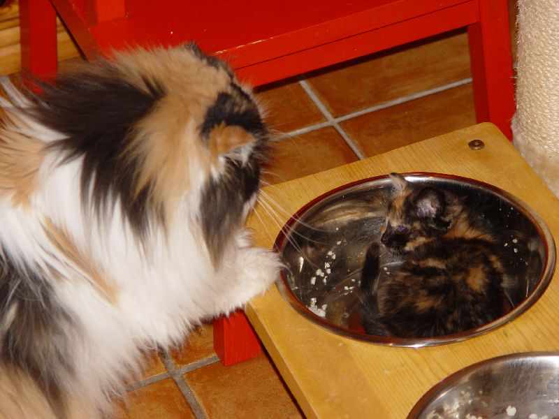 Jeannie und Sunny