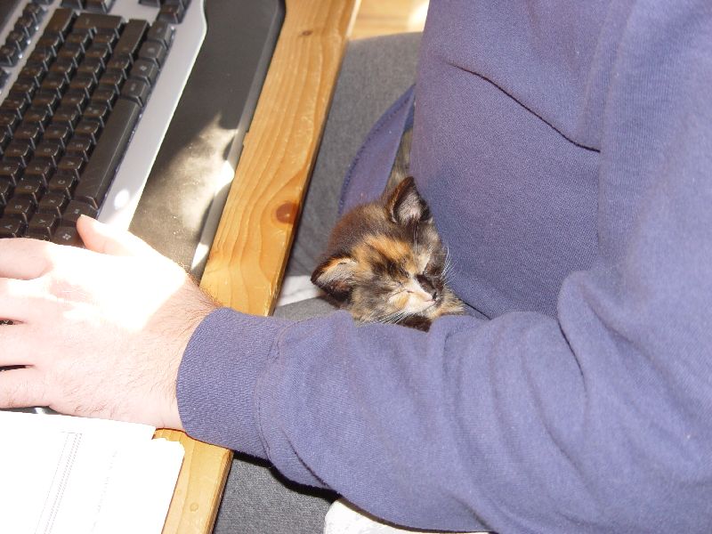 Jeannie schl�ft bei Herrchen