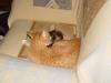 Dsc03749.jpg