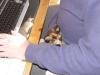 Dsc03767.jpg