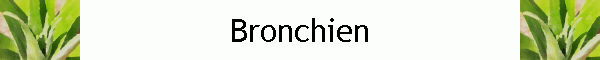 Bronchien