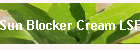 Sun Blocker Cream LSF 30