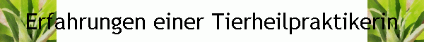 Erfahrungen einer Tierheilpraktikerin